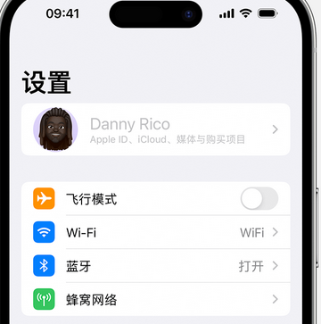 城中appleID维修服务iPhone设置中Apple ID显示为灰色无法使用