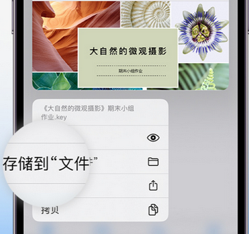 城中apple维修中心分享iPhone文件应用中存储和找到下载文件