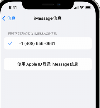 城中apple维修iPhone上无法正常发送iMessage信息