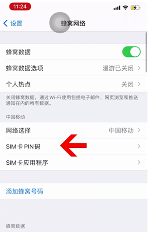 城中苹果14维修网分享如何给iPhone14的SIM卡设置密码 