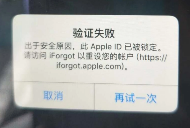 城中iPhone维修分享iPhone上正常登录或使用AppleID怎么办 