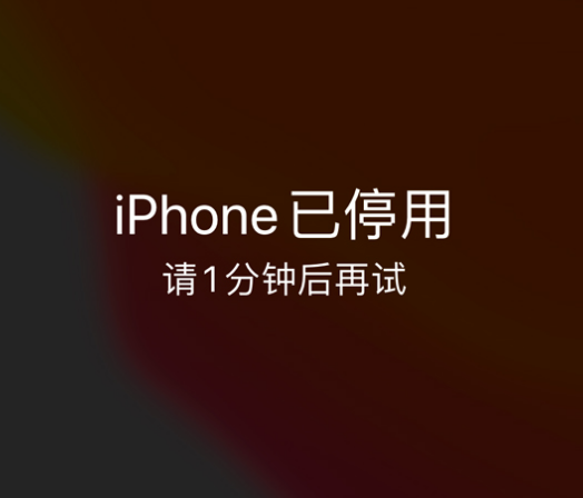 城中苹果手机维修分享:iPhone 显示“不可用”或“已停用”怎么办？还能保留数据吗？ 