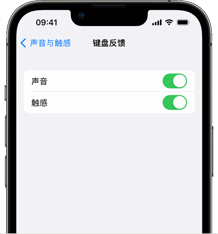 城中苹果14维修店分享如何在 iPhone 14 机型中使用触感键盘 