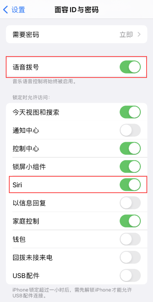 城中苹果维修网点分享不解锁 iPhone 的情况下通过 Siri 拨打电话的方法 