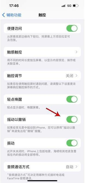 城中苹果手机维修分享iPhone手机如何设置摇一摇删除文字 