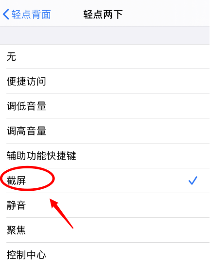 城中苹果手机维修分享iPhone12如何启用双击截屏 